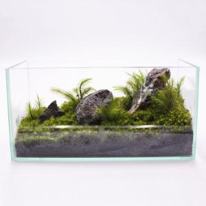 (観葉植物 おしゃれ ミニ テラリウム キット...の詳細画像5