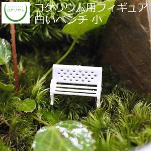 (観葉植物 おしゃれ ミニ テラリウム フィギュア コケリウム 苔 コケ 苔テラリウム 苔リウム インテリア) コケリウムフィギュア 白ベンチ 小