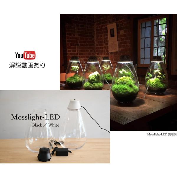 【LED照明つきテラリウム容器】　 Mosslight-LED　モスライト／LED照明付きテラリウム...