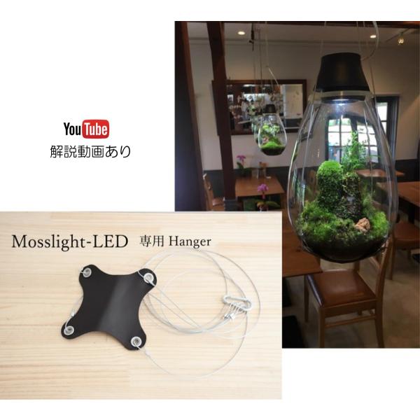 （苔テラリウム モスライト LED照明つき インテリア ガラス容器）Mosslight-LED用　ハ...