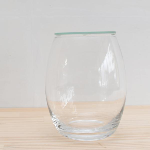 （苔テラリウム コケリウム ガラス容器 蓋付き）バルーン（口径90ｘｈ150ｍｍ）