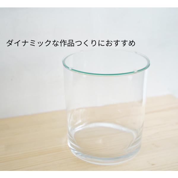 （苔テラリウム コケリウム ガラス容器 蓋付き）円柱ベース180（直径180ｘｈ200ｍｍ）