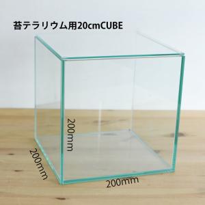 チャーム（charm） 水槽 アクリル水槽 アクリルクリアタンク（200