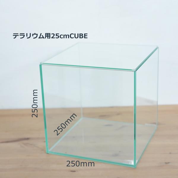 （苔テラリウム コケリウム ガラス容器 水槽 ガラス蓋つき）苔テラリウム用 25cmCUBEガラス水...