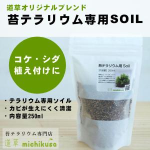 （苔テラリウム 土 ソイル 苔盆栽 苔 コケリウム 苔栽培 専用土）苔テラリウム作製用SOIL 250ml／必要なものが全て入った苔テラリウム専用ブレンド｜kokeya-michikusa