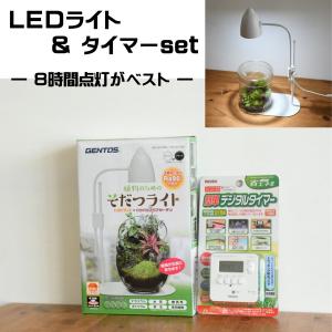 植物育成ライト 苔テラリウム コケリウム 苔 室内栽培 育つ ライト 3