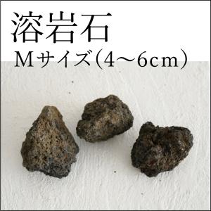 (苔テラリウム材料 苔盆栽 石 レイアウト 着生...の商品画像