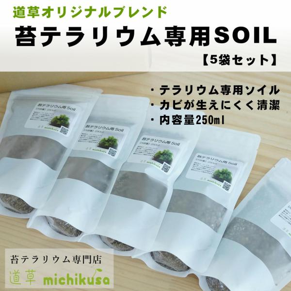 （苔テラリウム 土 ソイル 苔盆栽 苔 コケリウム 苔栽培）苔テラリウム作製用SOIL 250ml ...