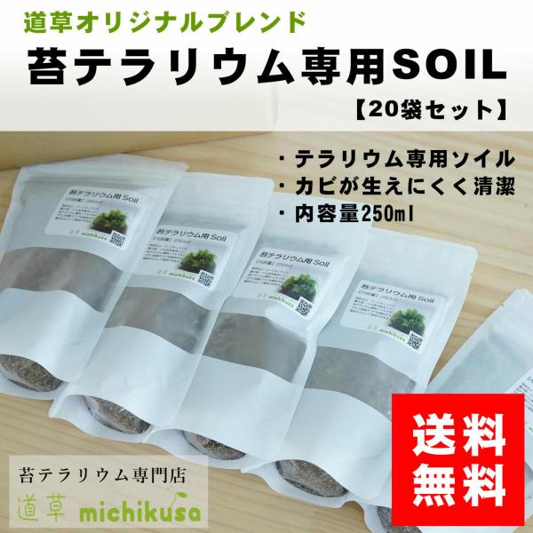 （苔テラリウム 土 ソイル コケリウム 送料無料 まとめ買い）苔テラリウム作製用SOIL 250ml...
