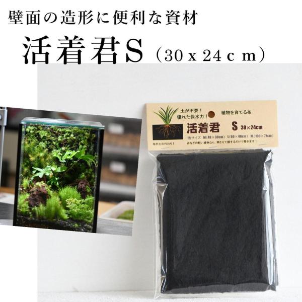 （活着君 苔テラリウム 造形 苔壁 ソイル 植物が育つ布 苔盆栽 苔 コケリウム パルダリウム）活着...