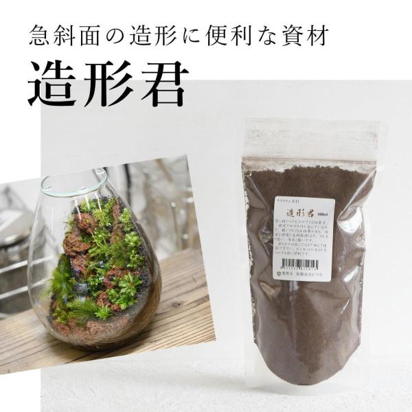 （苔テラリウム 造形 土 ソイル 斜面をつくるのに便利 苔盆栽 苔 コケリウム 専用土）造形君 50...
