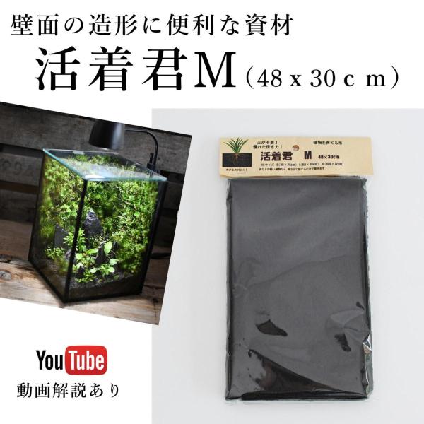 （活着君 苔テラリウム 造形 苔壁 ソイル 植物が育つ布 苔盆栽 苔 コケリウム パルダリウム）活着...