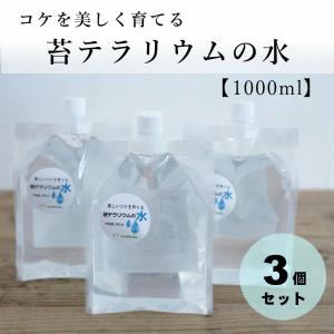 苔テラリウムの水 1,000ml入り 3パックセットの商品画像