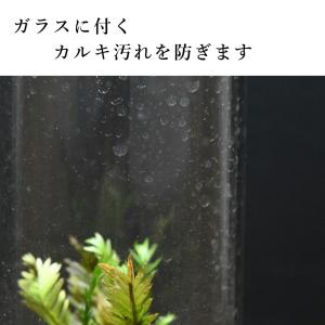 苔テラリウムの水 1,000ml入り 3パックセットの詳細画像2