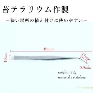 (苔テラリウム 苔盆栽 コケリウム ツール ピン...の商品画像
