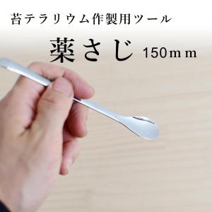 （苔テラリウム 苔盆栽 コケリウム ツール スプーン ピンセット コケ）薬さじ　150ｍｍ