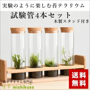 植物育成ライト LED 苔テラリウム コケリウム 苔 室内栽培 育つ ライト