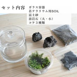 (苔テラリウム キット コケリウム 初心者向け...の詳細画像1