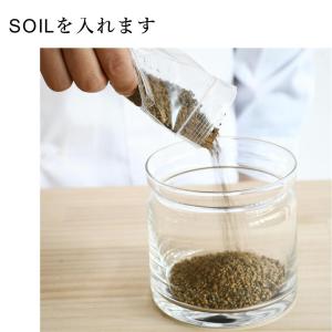 (苔テラリウム キット コケリウム 初心者向け...の詳細画像3