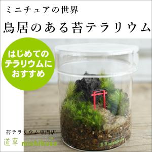 Leaf Corp 種類おまかせ 本物で作る 小さな苔テラリウム カプセルトイ
