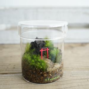(苔テラリウム 完成品 フィギュア 苔盆栽 コ...の詳細画像1