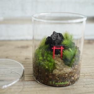 (苔テラリウム 完成品 フィギュア 苔盆栽 コ...の詳細画像2