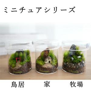 (苔テラリウム 完成品 フィギュア 苔盆栽 コ...の詳細画像5