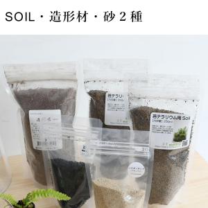 (コケ 苔テラリウム キット コケリウム はじ...の詳細画像4