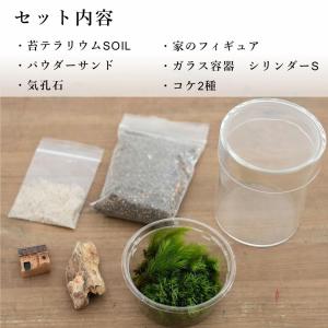 (苔テラリウム キット コケリウム 初心者向け...の詳細画像2