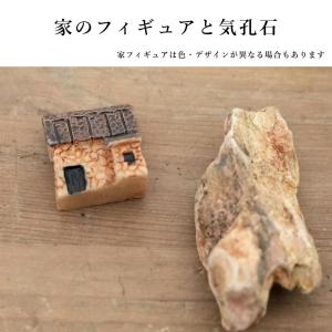 (苔テラリウム キット コケリウム 初心者向け...の詳細画像4