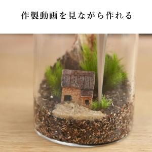 (苔テラリウム キット コケリウム 初心者向け...の詳細画像5