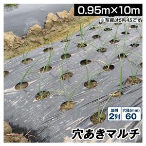 農業用マルチシート 農ポリ 黒穴あきマルチ 2列60 0.95×10m 1枚 少量 農用 マルチ マルチング 被覆資材 ポリエチレン 国華園｜農業大陸・国華園