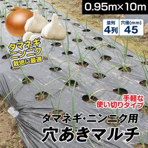 農業用マルチシート マルチング  農ポリ タマネギ・ニンニク用 穴あきマルチ 4列45 0.95×10m 1巻　厚手 0.03ｍｍ 少量 使い切り 農用 被覆 ポリエチレン 国華園