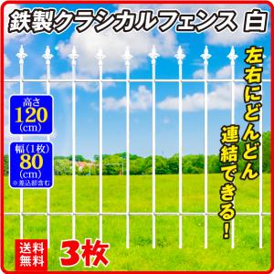 ガーデン フェンス 連結式 鉄製 フェンス・バード 白 2枚組 幅52