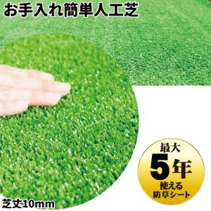 国華園 即納 お手入れ簡単人工芝 1×10m 1個 U字固定 ピン 付属 人工芝ロール 芝生 芝 ベランダ バルコニー