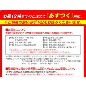 国華園 即納 お手入れ簡単人工芝 1×10m ...の詳細画像1