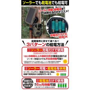 国華園 即納 防犯カメラ トレイルカメラ 4K...の詳細画像3