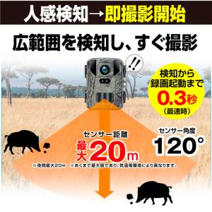 国華園 即納 防犯カメラ トレイルカメラ 4K...の詳細画像4