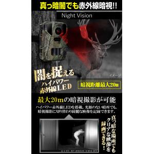 国華園 即納 防犯カメラ トレイルカメラ 4K...の詳細画像5