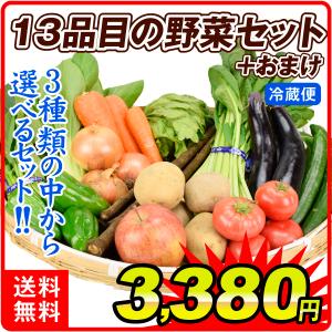 野菜セット 国産 (新鮮野菜13品＋フルーツ1品) 合計14品目