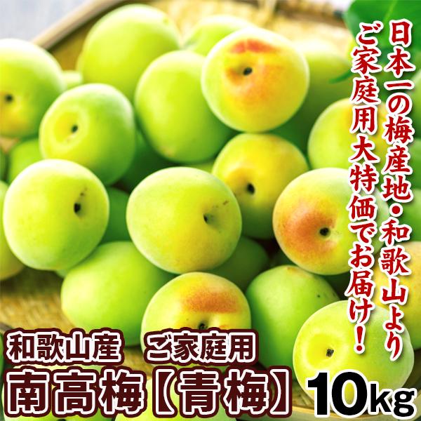 梅 10kg 南高梅 青梅 和歌山産 紀州梅 ご家庭用 梅酒 冷蔵便 送料無料 食品