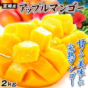 宮崎マンゴー　今年初発売　2L　2個入り マンゴー 2kg ふぞろいアップルマンゴー 宮崎産 宮崎マンゴー 芒果