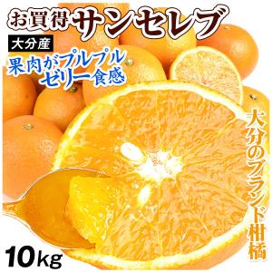 沖縄県産 特別栽培 果物 ナツメ なつめ 2kg(16個〜38個) 果実 フルーツ