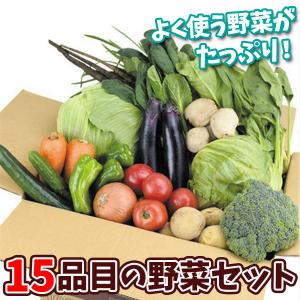 15品目の野菜セット 常温便 送料無料 食品｜kokkaen3