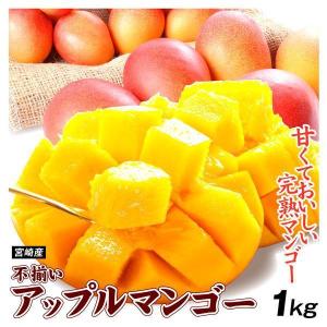 マンゴー 1kg ふぞろいアップルマンゴー 宮崎産 2〜8玉 送料無料 ご家庭用 太陽のタマゴと同じ品種 宮崎マンゴー フルーツ 食品｜くだもの大陸・国華園