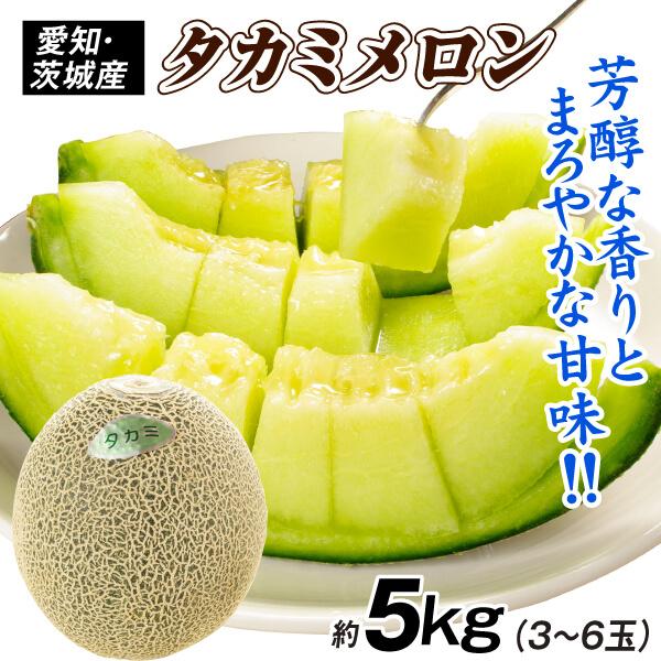 メロン 約5kg 愛知・茨城産 タカミメロン タカミ 貴美 送料無料 食品 国華園