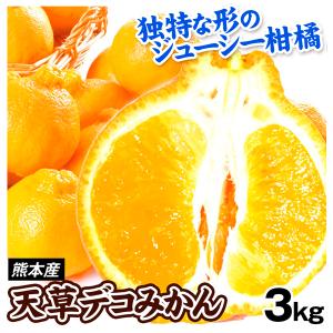 みかん 1.5kg 水晶文旦 大分産 ご家庭用 水晶 文旦 柑橘 果物 フルーツ