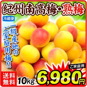 梅 南高梅（熟梅）和歌山産 紀州南高梅 ご家庭用 10kg 送料無料 食品