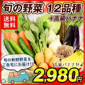 野菜セット 国産 旬の野菜 12種 高級バナナ 1箱 キャベツ 新じゃが 野菜詰め合わせ 自宅へお届け 常温 送料無料 国華園｜kokkaen3