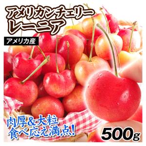 パリッと大粒！アメリカンチェリー1kg 送料無料 フルーツ 果物